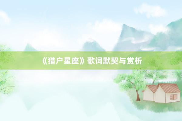 《猎户星座》歌词默契与赏析