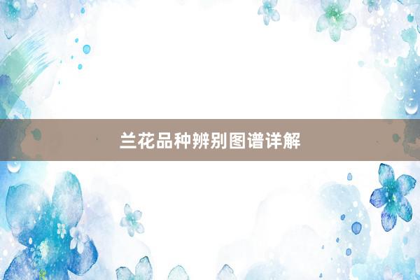 兰花品种辨别图谱详解