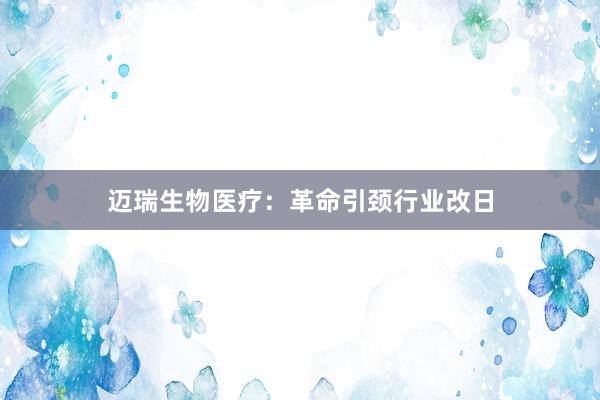 迈瑞生物医疗：革命引颈行业改日